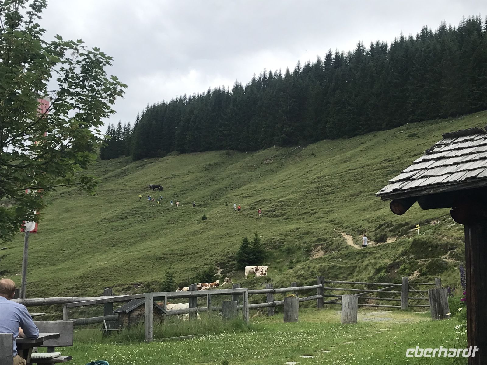 Abstieg zur Schützingalm