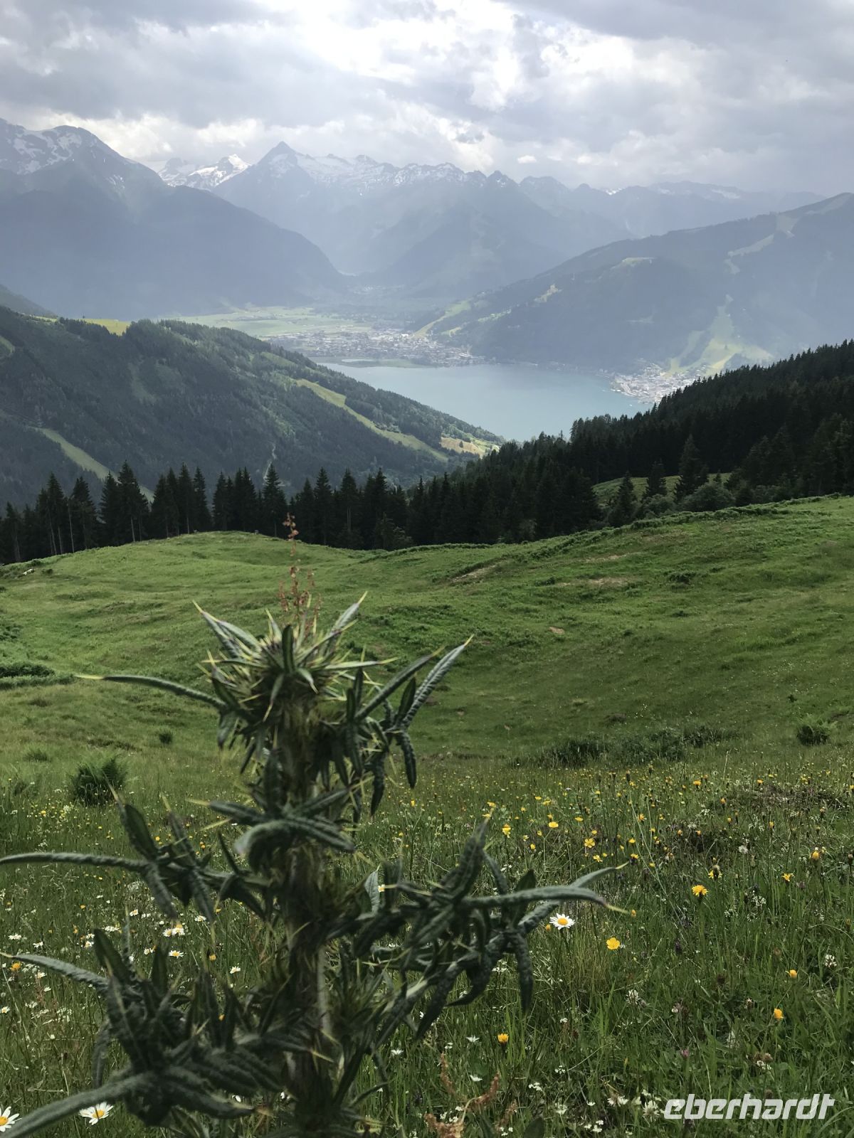 Rückweg - Platz zum Verweilen!