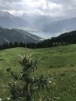 Rückweg - Platz zum Verweilen!