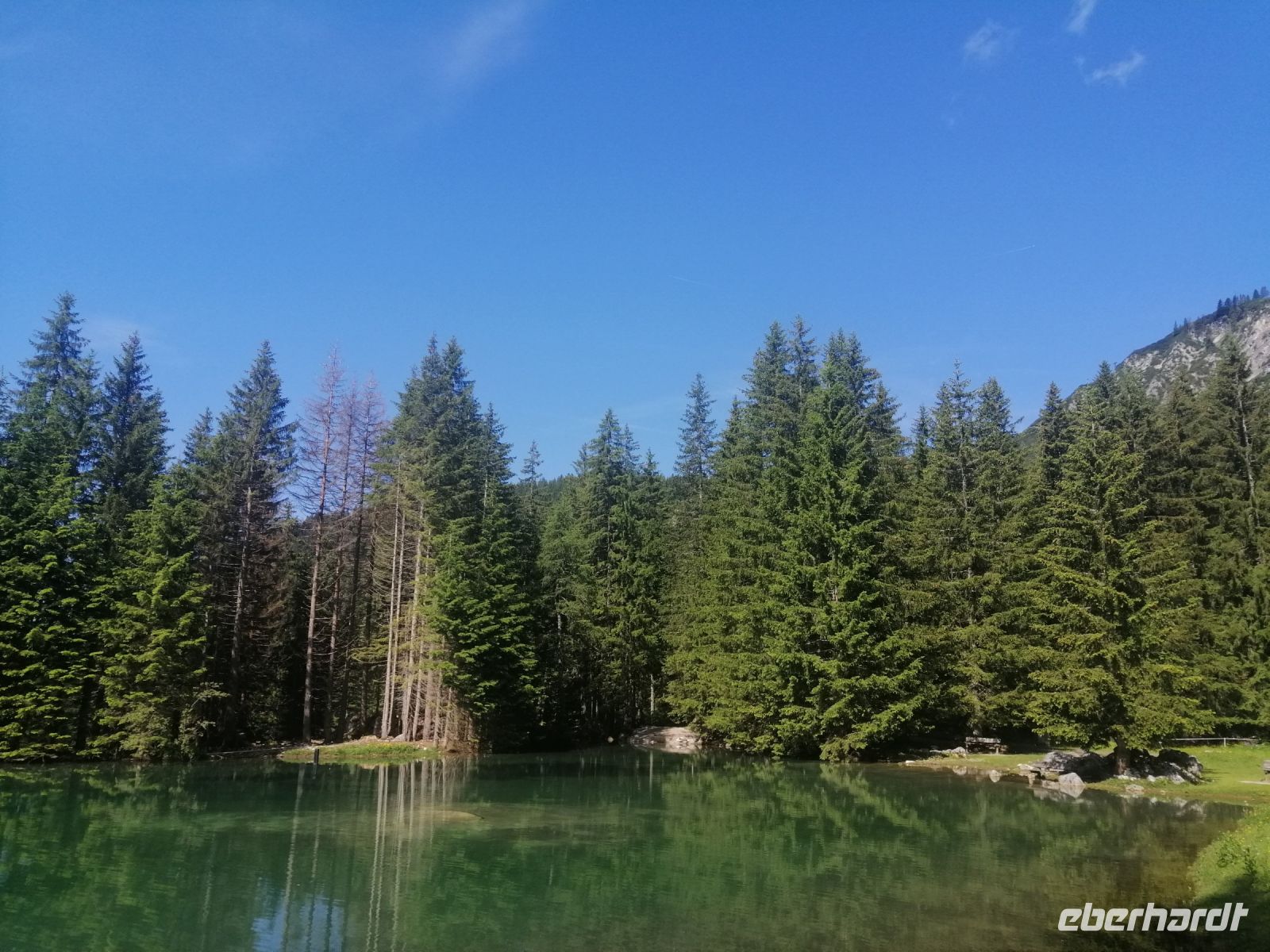 Almsee bei Filzmoos, Rundwanderweg