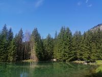 Almsee bei Filzmoos, Rundwanderweg