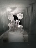 Besichtigung des Dachstein Eispalastes