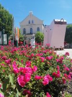 Stadtrundgang in Bad Aussee: Kur- und Congresshaus