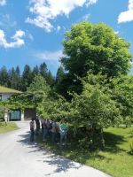 Führung durch die Brennerei Buchegger