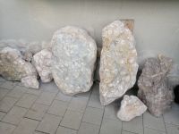 Besichtigung des Fossilienmuseums in Rußbach