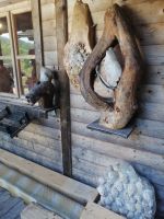 Besichtigung des Fossilienmuseums in Rußbach