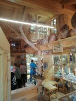 Besichtigung des Fossilienmuseums in Rußbach