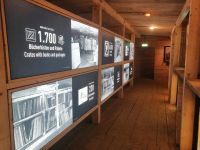 Führung durch die Salzwelten Altaussee