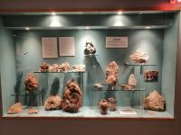 Naturkundemuseum in Hallstatt