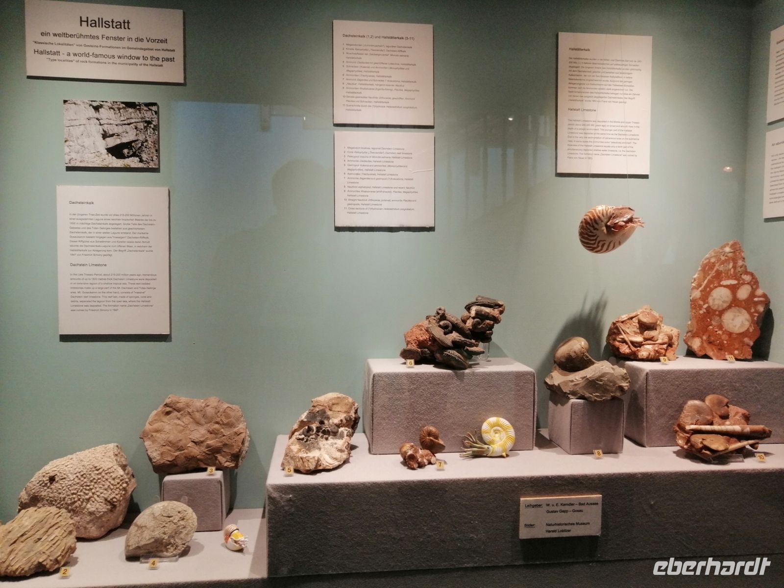 Naturkundemuseum in Hallstatt