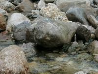 Fosilienreste im Flussbett, Russbach