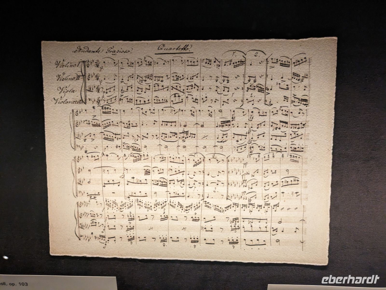 Im Haus der Musik, viele Originaldokumente wie das Testament von Beethoven