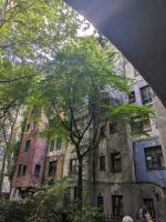 viel Grün gehört zu Hundertwasser dazu