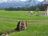 2024-09_Kaiserwinkel-Rad: Stillleben - einfach schön