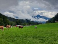 2024-09_Kaiserwinkel-Rad: Abfahrt ins Inntal.jpg