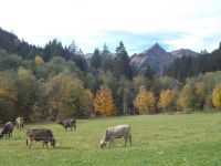 DSCN9556.JPG   Gemsteltal