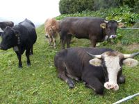 DSCN9577.JPG   Tscüß !!!