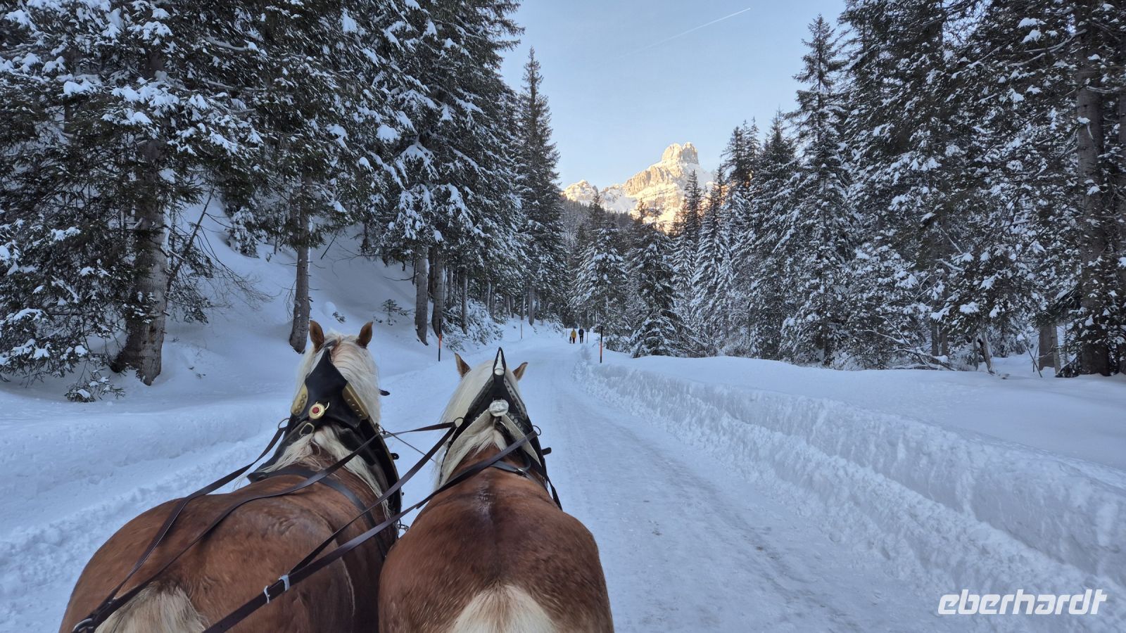Schlittenfahrt in Filzmoos