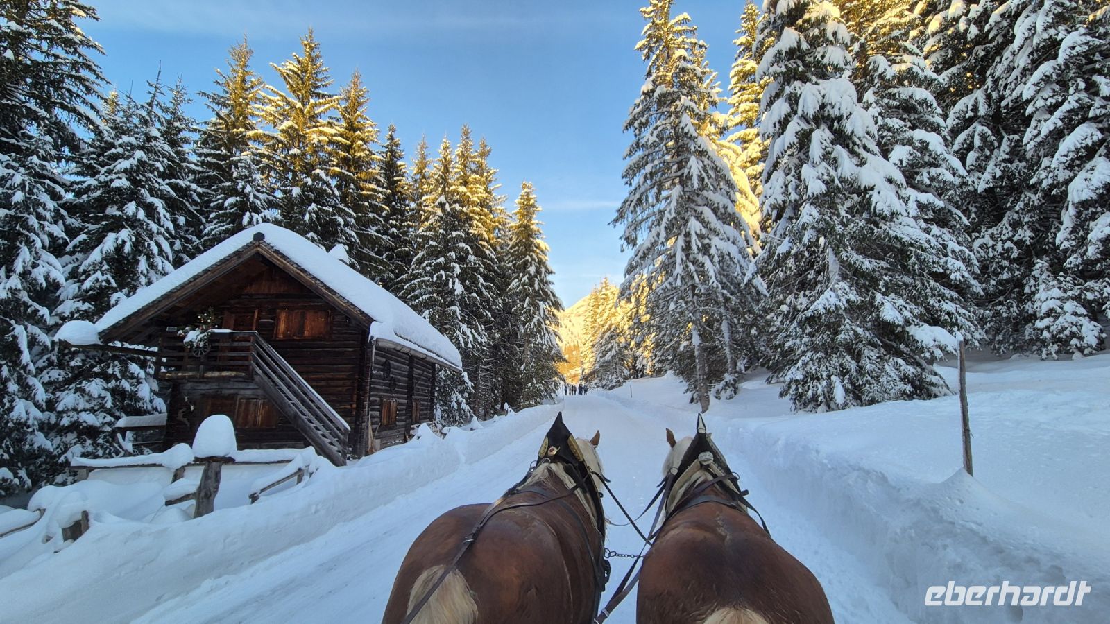 Schlittenfahrt in Filzmoos