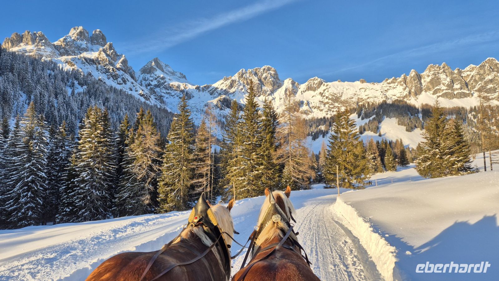 Schlittenfahrt in Filzmoos
