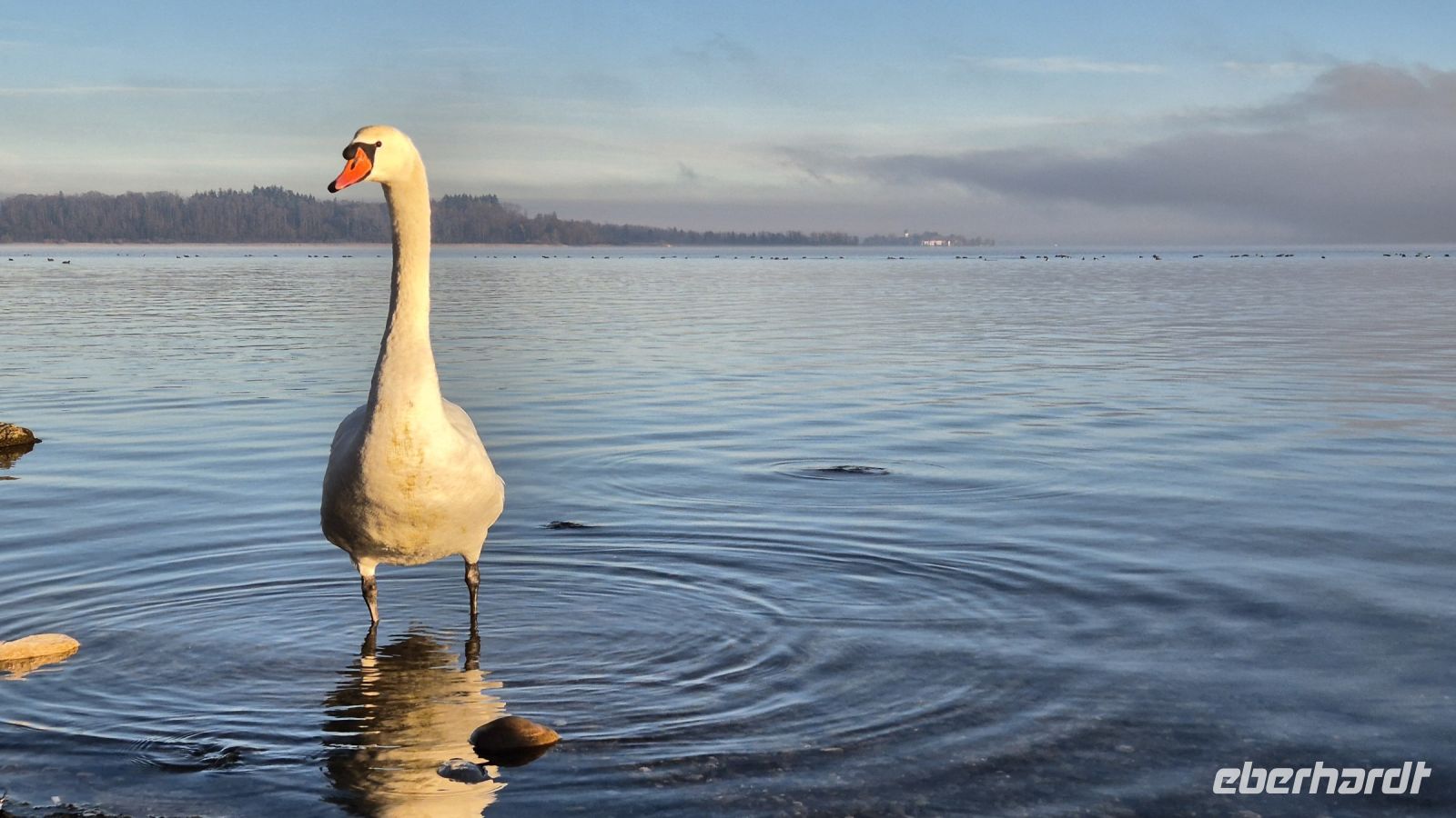 Fotostopp am Chiemsee