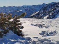 Dachsteinblick vom Feuerkogel