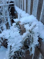 Kristalle in Hallstatt