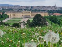 Aussicht von der Gloriette auf Wien und Schlo0 Schönbrunn