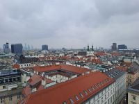 Blick über Wien vom Staphansdom