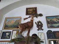 Innenausstattung - Museum - Hochschneeberg