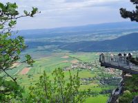 Skywalk Aussicht nach Wiener Neustadt