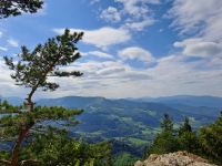 Blick zum Schneeberg