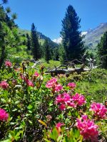 Naturpark Zirbenwald