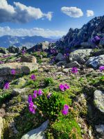 Blick zu den Dolomiten