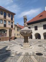 Orsolya Platz, Sopron