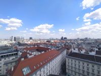 Blick vom Stephansdom auf die Stadt, Wien