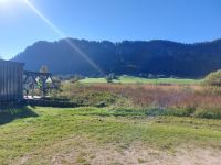 2025_Rad Walchsee-Hochmoor Schwemm