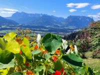 2025_Rad Walchsee-Blick vom Mühlberg auf das Kaisergebirge