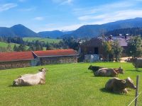2025_Rad Walchsee-Auf dem Weg nach Reith im Winkel