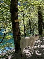 Auf der Suche nach kühlem Bier :-)