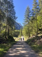 Rückweg zum Vorderen Gosausee
