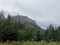 Blick auf den Traunstein