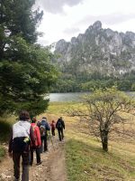 Wanderung am Laudachsee