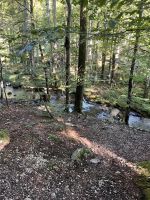 Wanderung zu den Langbathseen