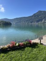 Blick auf den Wolfgangsee