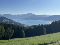 Blick auf den Attersee