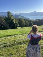 Blick auf den Attersee