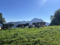 Abstieg nach Pinsdorf