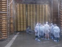 2025_Rad Walchsee-Käserei Plangger -im Käsekeller