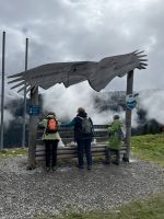 ... die anderen natürlich auch